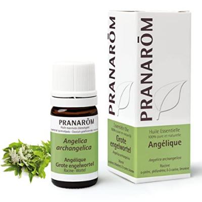 Ang&eacute;lique - Huile Essentielle D'angelica Archangelica 5 Ml - Pranar&ocirc;m
