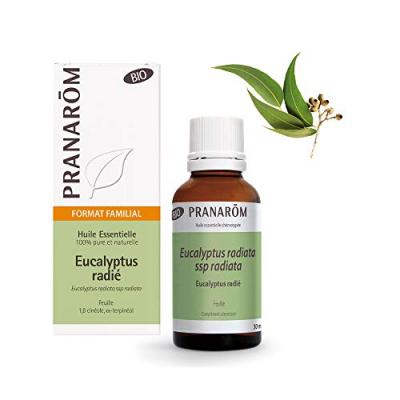 Eucalyptus Radie Bio 30ml Les Huiles Essentielles Pranar&ocirc;m