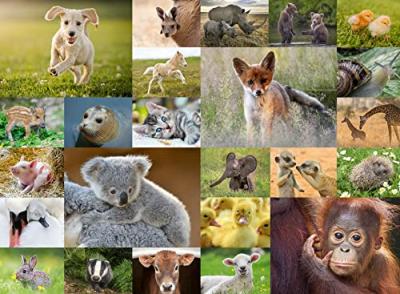 Puzzle Pi&egrave;ces XXL - B&eacute;b&eacute;s animaux Ravensburger