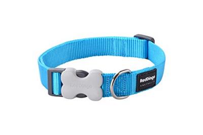 Red Dingo Collier pour Chien Turquoise Taille L