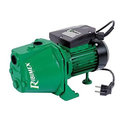 Ribiland - pompe de surface 750w - prjet81