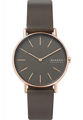 Montre Femme Signatur Gris SKW2794 Marron Skagen