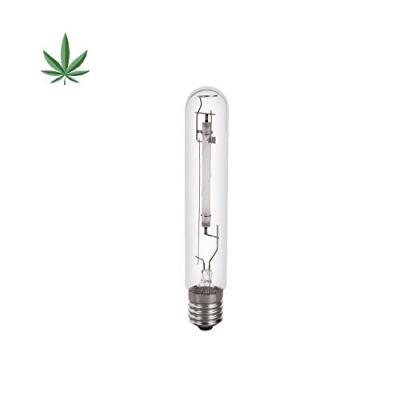 Ampoule hps Sodium 600 w Grolux Sylvania E40 croissance et floraison