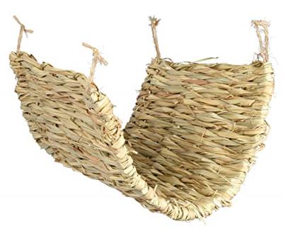 Natte d'herbe L40 l28cm pour rongeur - Herbe pour rongeur