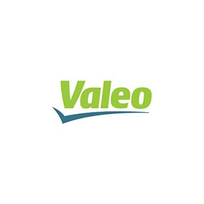 Volant moteur VALEO 836328 (X1)