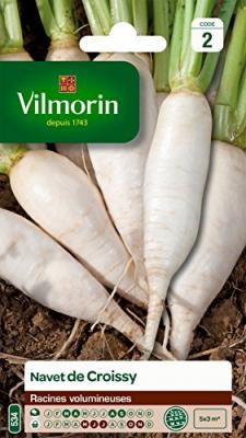 Vilmorin - Sachet de graines Navet de Croissy Vilmorin