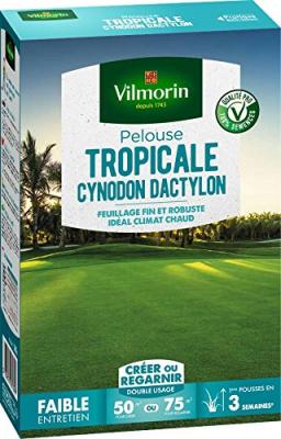 Semences de gazon bord de mer les tropicales cynodon dactylon - 500 g