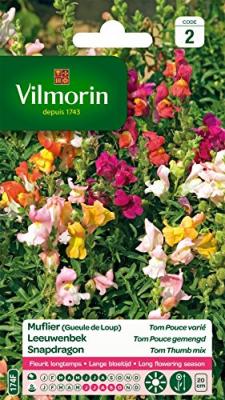 Graines de Muflier Tom Pouce Vari&eacute; (Geule de Loup) Vilmorin