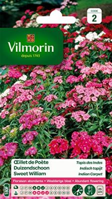 Vilmorin 5437442 &OElig;illet, Multicolore, 90 x 2 x 160 cm