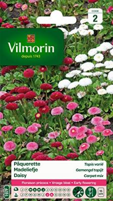 Vilmorin 5448242 P&acirc;querette, Multicolore, 90 x 2 x 160 cm