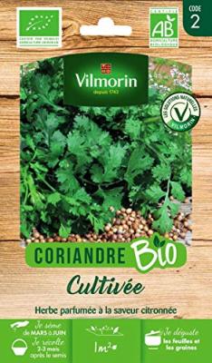 Vilmorin sachet graines bio coriandre