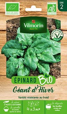 Epinard g&eacute;ant d hiver bio Vilmorin