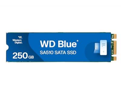 Disque SSD > WD WD Disque SSD WD 250GB BLUE SSD M.2 SA510 2280