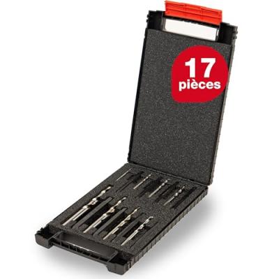 Jeu d'extracteur de vis, Quantit&eacute; : 16 pi&egrave;ces