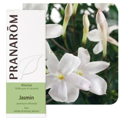 Jasmin (Absolue) - Jasminum Officinalis 5 Ml - Pranar&ocirc;m