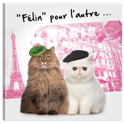 Le Monde Des Animaux - Cadre en toile chats