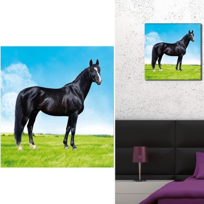L'univers Du Cheval - Cadre Toile Cheval