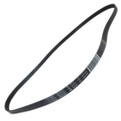 Courroie de Machine &agrave; Laver - Bellavita - Mod&egrave;le 42111864 - Compatible Multi-Marques