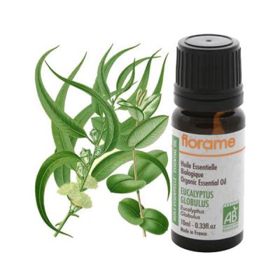 Huile essentielle biologique Eucalyptus Globulus 10ml