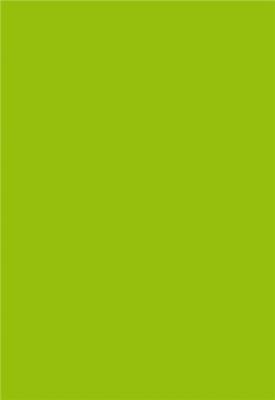 Paquet de 20 enveloppes Pollen 165x165mm Vert Menthe 120g