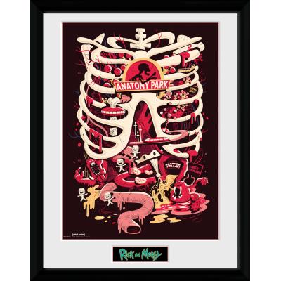 Abystyle RICK AND MORTY - Tirage encadr&eacute; "Parc d'Anatomie" (30x40) -