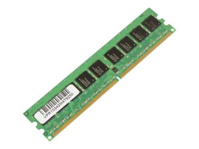 Micromemory 2gb ddr2 533mhz ecc mmg2247 2gb