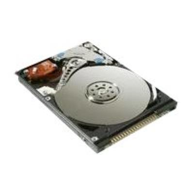 MicroStorage - disque dur - 40 Go - IDE