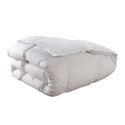 Couette Tradition LEGERE - 70% Duvet d'Oie - 220/240 - DODO