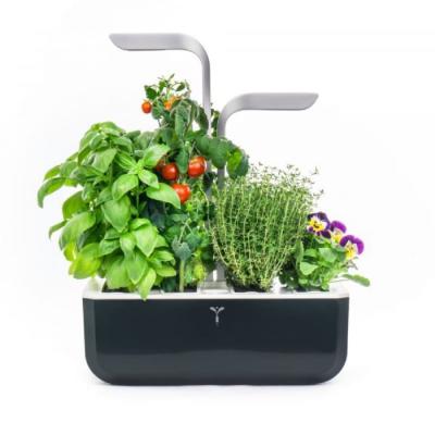 Potager d'int&eacute;rieur V&eacute;ritable&reg; SMART - Soft Black