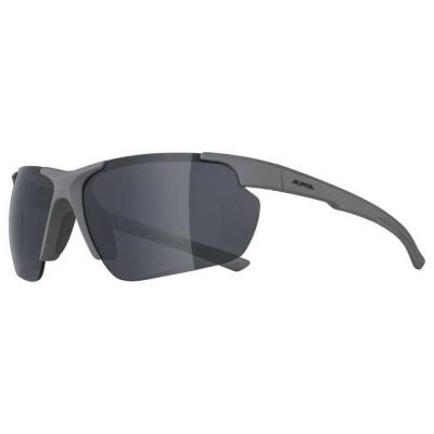 Alpina Snow Defey Hr Sunglasses Gris Black Mirror/CAT3