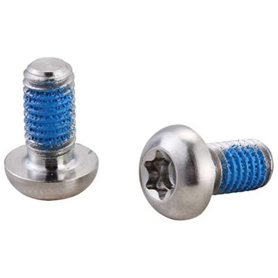 Elvedes CP2015153 Vis de Fixation Disque Titane Mixte Adulte, Argent