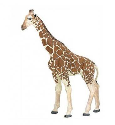 La Vie Sauvage Girafe