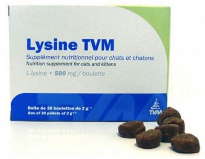 Lysine pour chat et chaton de TVM compl&eacute;ment nutritionnel