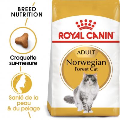 Lots &eacute;conomiques Royal Canin Breed - Norv&eacute;gien (2 x 10 kg)