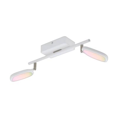 EGLO connect Palombare-C spot plafond LED 2 lampes