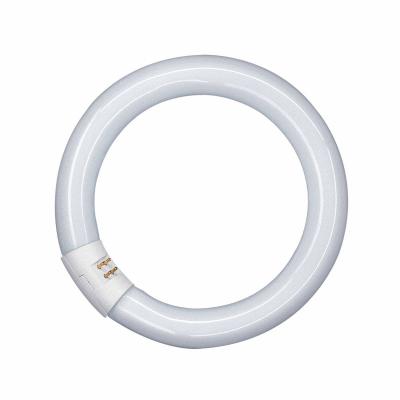Osram - Tube fluorescent circulaire triphosphore 22W 6500 k