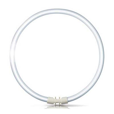 Philips MASTER TL5C Circulaire 60W - 840 Blanc Froid | 38cm