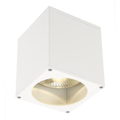 Plafonnier ext&eacute;rieur SLV BIG THEO, blanc, GU10/QPAR111, 75W max, IP44