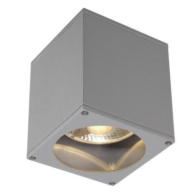 Plafonnier ext&eacute;rieur SLV BIG THEO, gris, GU10/QPAR111, 75W max, IP44