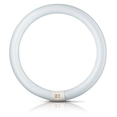 Philips - G10Q Circline 32W 6500K /865 [Classe &eacute;nerg&eacute;tique A]