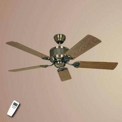 CasaFan Ventilateur de plafond classique Eco Elements