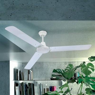 Globo Ventilateur de plafond Ferro &agrave; interrupteur mural