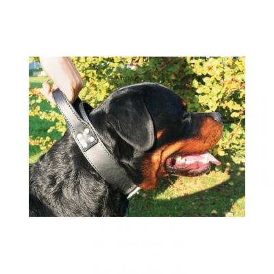 Col intervention a pgne 75 cuir vachette 