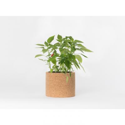 Life in a Bag - Kit bio pr&ecirc;t &agrave; pousser Piments