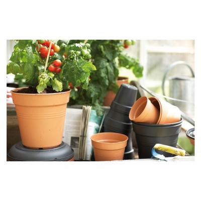 Pot de culture Green basics 11 cm living noir