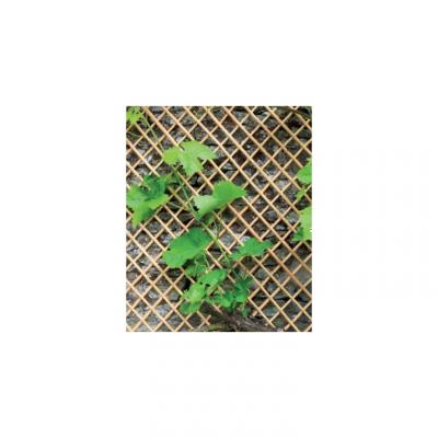 NORTENE Treillis en Osier Naturel pel&eacute; Wick Trellis - 0,50 x 1,50 m