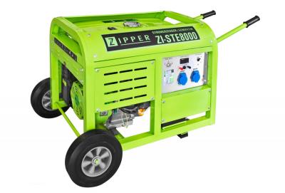 Groupe &eacute;lectrog&egrave;ne - puissance 10,0 KW/3600min-1 - STE8000