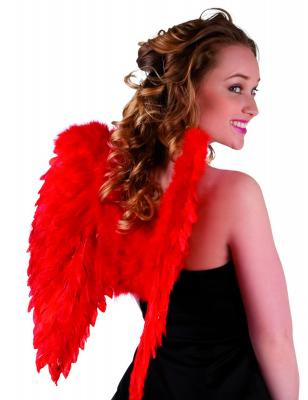 Ailes rouges 50 x 50 cm adulte