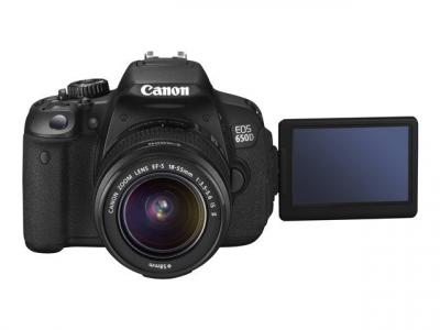Reflex Canon EOS 650D + Obj. Canon EF-S IS STM 18 - 135 mm f/3.5 - 5.6 