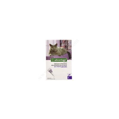 BAYER ADVANTAGE 80 pour Chat (4 Kg et +) (4 pipettes de 0,8 ml)
